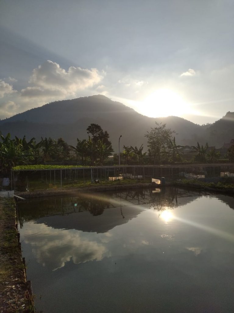 Sedia Penginapan Murah Nyaman di Ciwidey | Alkasturi Syariah Cottage