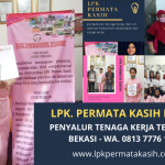 Jasa Tenaga Kerja Murah Profesional | Sedia Baby Sitter Balita Lansia, ART di Bekasi | WA. 0813 7776 1186