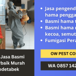 Jasa Pest Control Murah Jabodetabek | Layanan Jasa Pengendalian Hama Terbaik | WA. 0857 1428 1389