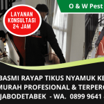 Layanan Basmi Rayap Tikus Nyamuk dll di Jakarta Bogor Depok Tangerang dan Bekasi | WA. 0899 9641 476
