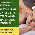 Panggilan Pijat Gading Serpong Murah Terpercaya | Tulip Massage Tangerang | WA 0878 3443 1143