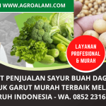 Pusat Sayuran Buah Daging Pupuk Murah di Garut | Melayani Seluruh Indonesia | WA 0852 2316 6161