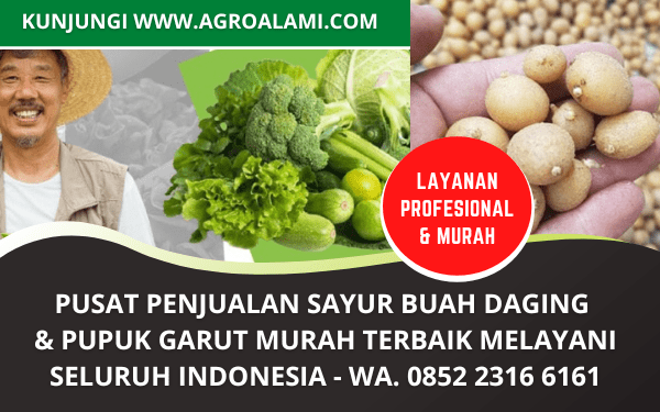 Pusat Sayuran Buah Daging Pupuk Murah di Garut Jawa Barat