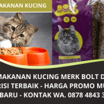 Jual Makanan Kucing Murah Berkualitas | Promo Makanan Kucing Bolt Terbaru | WA 0878 4843 3622