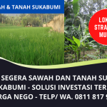 Jual Tanah Sawah Murah Sukabumi Jawa Barat | Lokasi Strategis Harga Bisa Nego | WA. 0811 817 972
