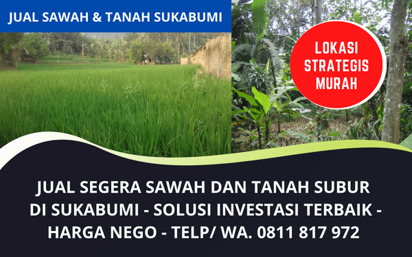 Jual Tanah Sawah Murah Sukabumi Jawa Barat