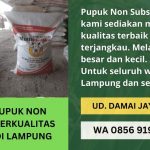 Supplier Pupuk Non Subsidi Murah Lampung | Produk Berkualitas Mutu Terjamin | WA. 0856 9195 9005